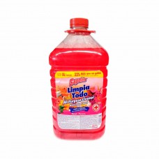 SAPOLIO LIMPIA TODO FLORAL X 5LT.