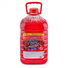 SAPOLIO LIMPIA TODO ROSAS X 5LT.
