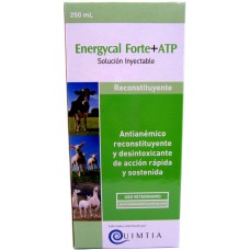 ENERGYCAL FORTE + ATP X 250 ML