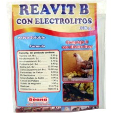 REAVIT B C/ELECTROLITOS X 100GR